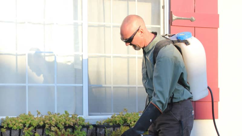 Pest control technician treating the outside of a home